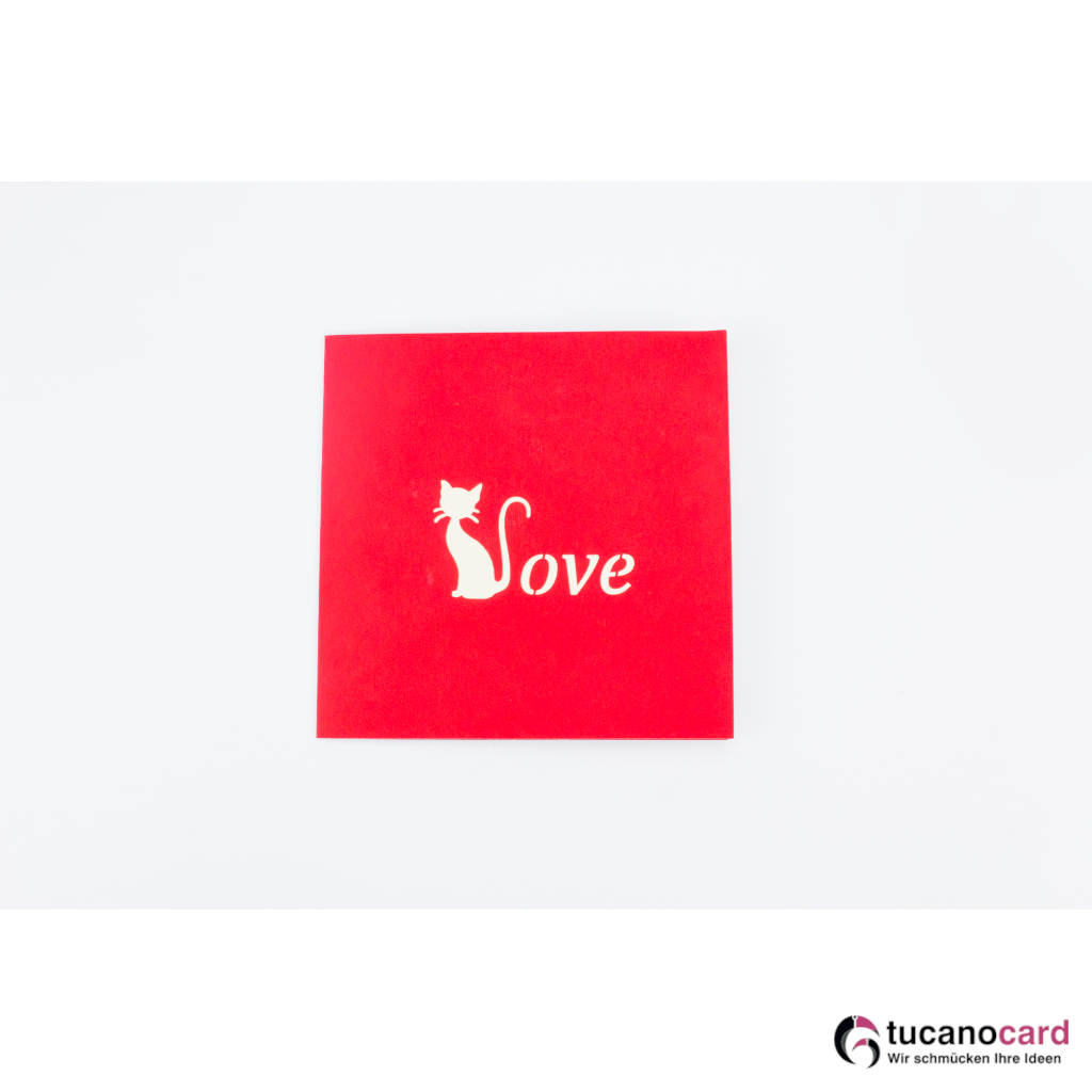 Katzenpaar in Box - Kartenfarbe Rot - 15 x 15 cm