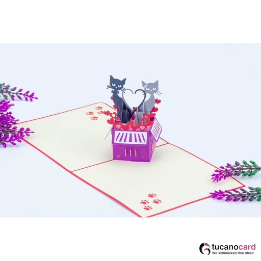 [1100028] Katzenpaar in Box - Kartenfarbe Rot - 15 x 15 cm