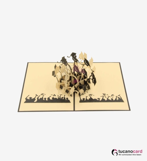 [1100040] Bachelor-, Absolventen Hut - Kartenfarbe Schwarz - 12 x 17 cm